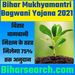 Bihar Mukhyamantri Bagwani Yojana 2021| बिहार बागबानी मिशन के तहत मिलेगा 75% तक अनुदान- Full Info 17 Bihar Mukhyamantri Bagwani Yojana