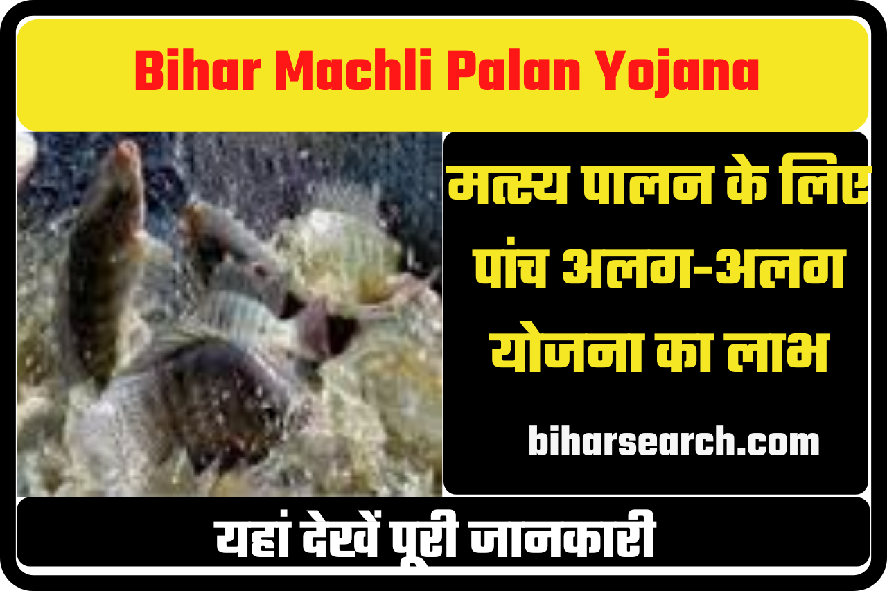 Bihar Machali Palan Vibhag Online 2022| Bihar Machli Palan Yojana 2022- मत्स्य पालन के लिए मिलेगा पांच अलग-अलग योजना का लाभ 26 Bihar Machali Palan Vibhag Online 2022