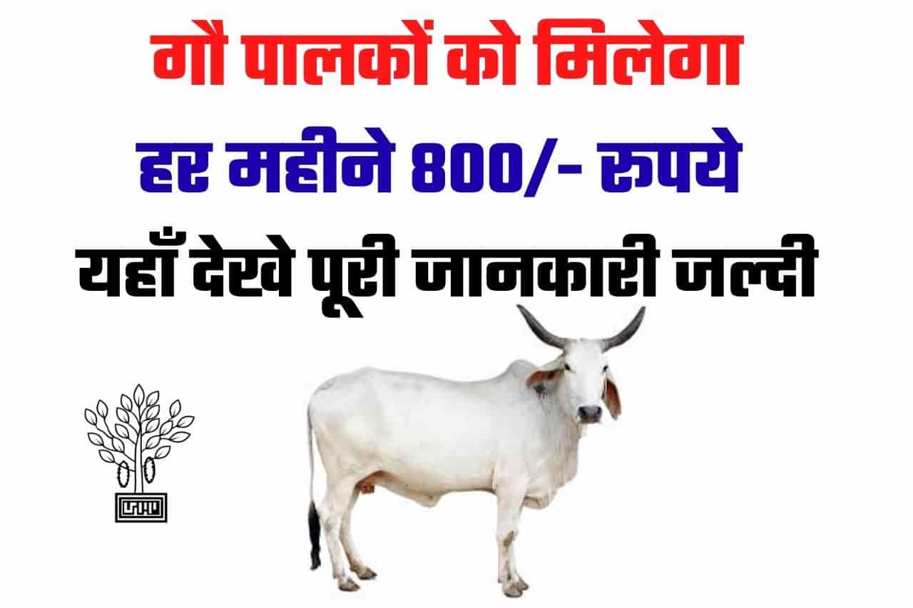Bihar Gopalak Sahayata Yojana 2022|Bihar Gau Palak Sahayata Yojana 2022: गौ पालकों को मिलेगा हर महीने 800/- रूपये यहाँ देखे पूरी जानकारी जल्दी 1 Bihar Gopalak Sahayata Yojana