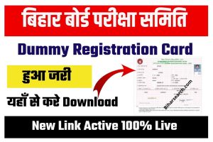 Bihar Board 10th Dummy Registration Card 