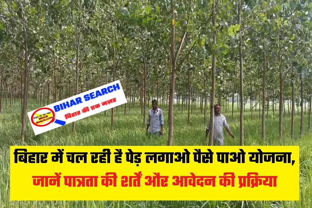 Bihar Ped Lagao Paise Pao Yojana 2022: बिहार में चल रही है पेड़ लगाओ पैसे पाओ योजना, जानें पात्रता की शर्तें और आवेदन की प्रक्रिया 67 Bihar Ped Lagao Paise Pao Yojana 2022