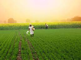 PM Kisan Yojana 2024: अब बिना ये शर्त पूरी किये नहीं मिलेगी 16वीं किस्त, जाने क्या है पूरी शर्त और योजना को लेकर न्यू अपडेट? Full Information 4 PM Kisan Yojana